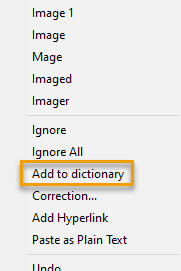 add-to-dictionary.png